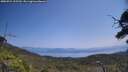 ./images/calvert/fitz-hugh-hecate/20250721/fitz-hugh-hecate20250721_125510M.jpg