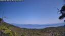 ./images/calvert/fitz-hugh-hecate/20250721/fitz-hugh-hecate20250721_140509M.jpg