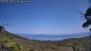 ./images/calvert/fitz-hugh-hecate/20250721/fitz-hugh-hecate20250721_143509M.jpg