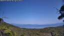 ./images/calvert/fitz-hugh-hecate/20250721/fitz-hugh-hecate20250721_145510M.jpg
