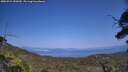 ./images/calvert/fitz-hugh-hecate/20250721/fitz-hugh-hecate20250721_152010M.jpg