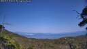 ./images/calvert/fitz-hugh-hecate/20250721/fitz-hugh-hecate20250721_152509M.jpg