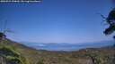 ./images/calvert/fitz-hugh-hecate/20250721/fitz-hugh-hecate20250721_154009M.jpg