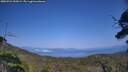 ./images/calvert/fitz-hugh-hecate/20250721/fitz-hugh-hecate20250721_155009M.jpg