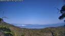 ./images/calvert/fitz-hugh-hecate/20250721/fitz-hugh-hecate20250721_155509M.jpg