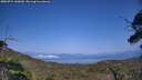 ./images/calvert/fitz-hugh-hecate/20250721/fitz-hugh-hecate20250721_160010M.jpg