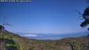 ./images/calvert/fitz-hugh-hecate/20250721/fitz-hugh-hecate20250721_161010M.jpg