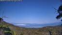 ./images/calvert/fitz-hugh-hecate/20250721/fitz-hugh-hecate20250721_161510M.jpg