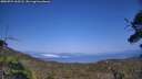 ./images/calvert/fitz-hugh-hecate/20250721/fitz-hugh-hecate20250721_163508M.jpg