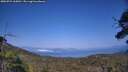 ./images/calvert/fitz-hugh-hecate/20250721/fitz-hugh-hecate20250721_165011M.jpg