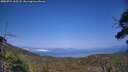 ./images/calvert/fitz-hugh-hecate/20250721/fitz-hugh-hecate20250721_165508M.jpg