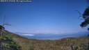 ./images/calvert/fitz-hugh-hecate/20250721/fitz-hugh-hecate20250721_172509M.jpg