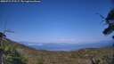 ./images/calvert/fitz-hugh-hecate/20250721/fitz-hugh-hecate20250721_173507M.jpg