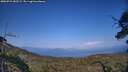 ./images/calvert/fitz-hugh-hecate/20250721/fitz-hugh-hecate20250721_182509M.jpg