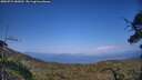 ./images/calvert/fitz-hugh-hecate/20250721/fitz-hugh-hecate20250721_183012M.jpg
