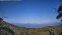 ./images/calvert/fitz-hugh-hecate/20250721/fitz-hugh-hecate20250721_183511M.jpg