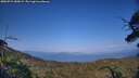 ./images/calvert/fitz-hugh-hecate/20250721/fitz-hugh-hecate20250721_185009M.jpg