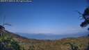 ./images/calvert/fitz-hugh-hecate/20250721/fitz-hugh-hecate20250721_185508M.jpg