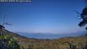 ./images/calvert/fitz-hugh-hecate/20250721/fitz-hugh-hecate20250721_190009M.jpg