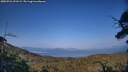./images/calvert/fitz-hugh-hecate/20250721/fitz-hugh-hecate20250721_191509M.jpg
