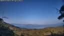 ./images/calvert/fitz-hugh-hecate/20250721/fitz-hugh-hecate20250721_193009M.jpg