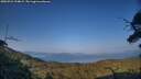 ./images/calvert/fitz-hugh-hecate/20250721/fitz-hugh-hecate20250721_194009M.jpg