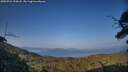 ./images/calvert/fitz-hugh-hecate/20250721/fitz-hugh-hecate20250721_194508M.jpg