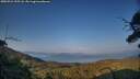 ./images/calvert/fitz-hugh-hecate/20250721/fitz-hugh-hecate20250721_195508M.jpg