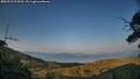 ./images/calvert/fitz-hugh-hecate/20250721/fitz-hugh-hecate20250721_202009M.jpg