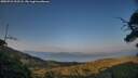 ./images/calvert/fitz-hugh-hecate/20250721/fitz-hugh-hecate20250721_202508M.jpg