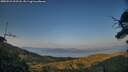./images/calvert/fitz-hugh-hecate/20250721/fitz-hugh-hecate20250721_203508M.jpg