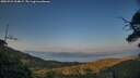 ./images/calvert/fitz-hugh-hecate/20250721/fitz-hugh-hecate20250721_204009M.jpg