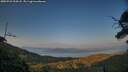 ./images/calvert/fitz-hugh-hecate/20250721/fitz-hugh-hecate20250721_204507M.jpg