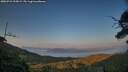 ./images/calvert/fitz-hugh-hecate/20250721/fitz-hugh-hecate20250721_205009M.jpg