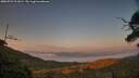 ./images/calvert/fitz-hugh-hecate/20250721/fitz-hugh-hecate20250721_211009M.jpg