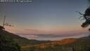 ./images/calvert/fitz-hugh-hecate/20250721/fitz-hugh-hecate20250721_211506M.jpg