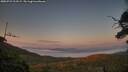 ./images/calvert/fitz-hugh-hecate/20250721/fitz-hugh-hecate20250721_212509M.jpg