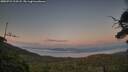 ./images/calvert/fitz-hugh-hecate/20250721/fitz-hugh-hecate20250721_213508M.jpg