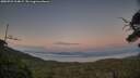 ./images/calvert/fitz-hugh-hecate/20250721/fitz-hugh-hecate20250721_214009M.jpg
