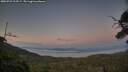 ./images/calvert/fitz-hugh-hecate/20250721/fitz-hugh-hecate20250721_214507M.jpg