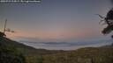 ./images/calvert/fitz-hugh-hecate/20250721/fitz-hugh-hecate20250721_215009M.jpg