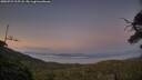 ./images/calvert/fitz-hugh-hecate/20250721/fitz-hugh-hecate20250721_215507M.jpg