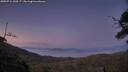 ./images/calvert/fitz-hugh-hecate/20250721/fitz-hugh-hecate20250721_220507M.jpg