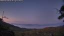 ./images/calvert/fitz-hugh-hecate/20250721/fitz-hugh-hecate20250721_221008M.jpg