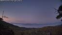 ./images/calvert/fitz-hugh-hecate/20250721/fitz-hugh-hecate20250721_221507M.jpg