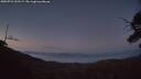 ./images/calvert/fitz-hugh-hecate/20250721/fitz-hugh-hecate20250721_222508M.jpg