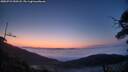 ./images/calvert/fitz-hugh-hecate/20250722/fitz-hugh-hecate20250722_050508M.jpg