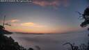 ./images/calvert/fitz-hugh-hecate/20250722/fitz-hugh-hecate20250722_053009M.jpg