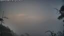 ./images/calvert/fitz-hugh-hecate/20250722/fitz-hugh-hecate20250722_054008M.jpg