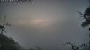 ./images/calvert/fitz-hugh-hecate/20250722/fitz-hugh-hecate20250722_054508M.jpg
